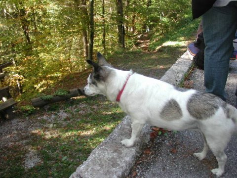 Escursione sul Cammino del Sinodo 15/10/2006