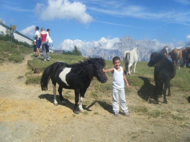 Pellegrinaggio "Nel Santuario delle Dolomiti" - 2011 - Attorno al Pelmo